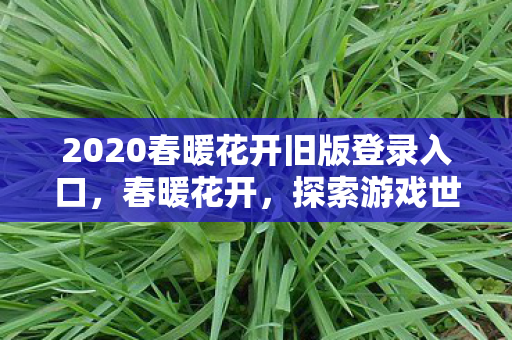 2020春暖花开旧版登录入口，春暖花开，探索游戏世界的无限可能