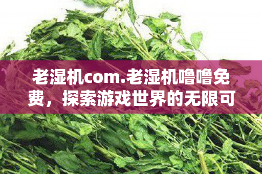 老湿机com.老湿机噜噜免费，探索游戏世界的无限可能