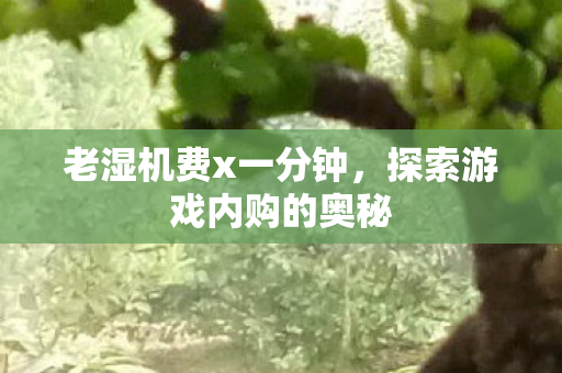 老湿机费x一分钟，探索游戏内购的奥秘
