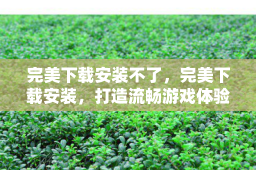 完美下载安装不了，完美下载安装，打造流畅游戏体验的必备指南