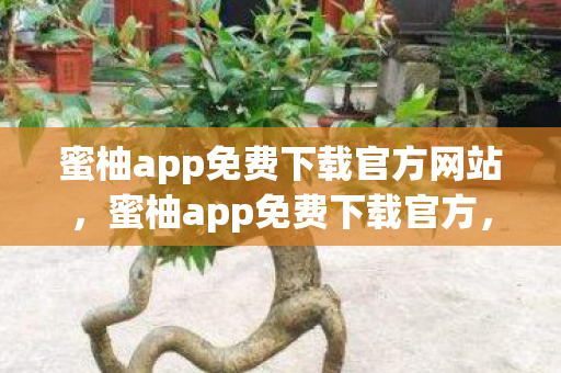 蜜柚app免费下载官方网站，蜜柚app免费下载官方，探索全新娱乐体验