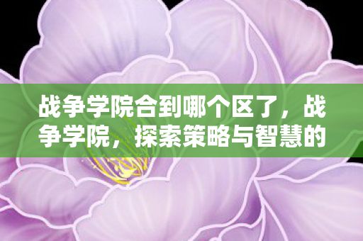战争学院合到哪个区了，战争学院，探索策略与智慧的殿堂