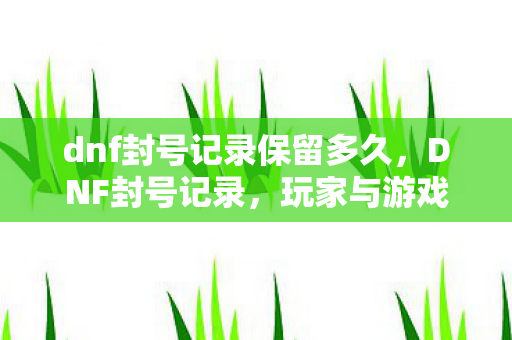 dnf封号记录保留多久,DNF封号记录,玩家与游戏规则的博弈 dnf封号记录保留多久,DNF封号记录,玩家与游戏规则的博弈