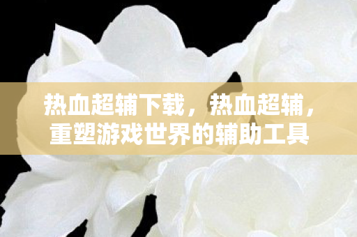 热血超辅下载,热血超辅,重塑游戏世界的辅助工具 热血超辅下载,热血超辅,重塑游戏世界的辅助工具