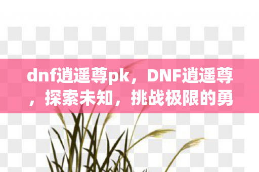 dnf逍遥尊pk,DNF逍遥尊,探索未知,挑战极限的勇士之旅 dnf逍遥尊pk,DNF逍遥尊,探索未知,挑战极限的勇士之旅