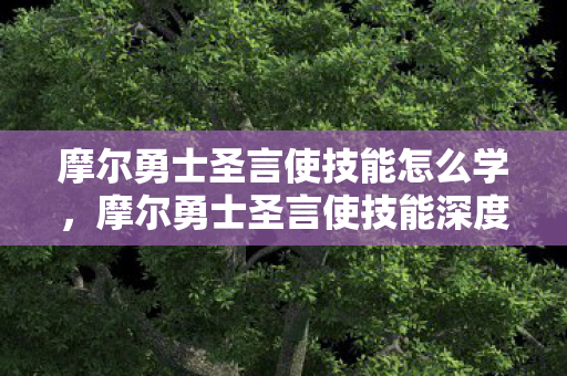 摩尔勇士圣言使技能怎么学，摩尔勇士圣言使技能深度解析