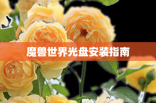 魔兽世界光盘安装指南