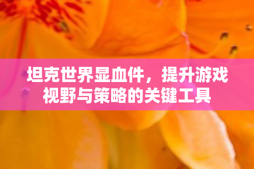 坦克世界显血件，提升游戏视野与策略的关键工具