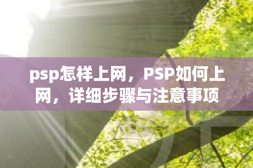 psp怎样上网,PSP如何上网,详细步骤与注意事项 psp怎样上网,PSP如何上网,详细步骤与注意事项