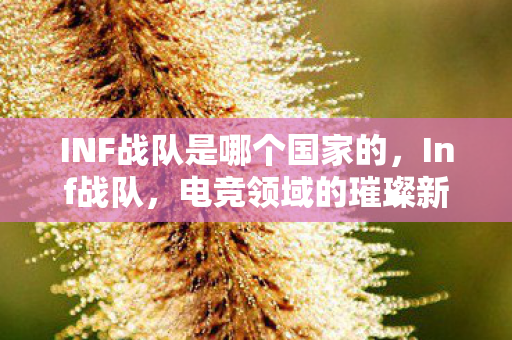INF战队是哪个国家的，Inf战队，电竞领域的璀璨新星
