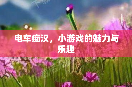 电车痴汉，小游戏的魅力与乐趣
