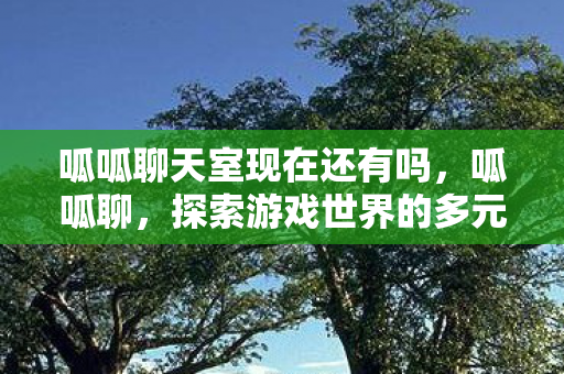 呱呱聊天室现在还有吗，呱呱聊，探索游戏世界的多元体验