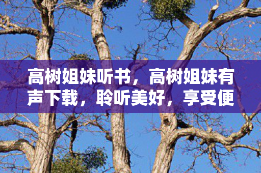 高树姐妹听书，高树姐妹有声下载，聆听美好，享受便捷