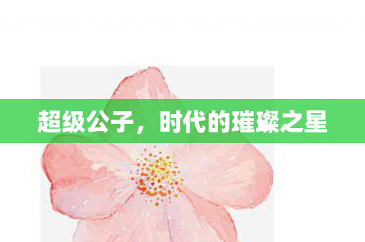 超级公子，时代的璀璨之星