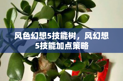风色幻想5技能树，风幻想5技能加点策略