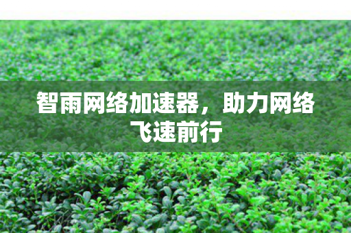 智雨网络加速器，助力网络飞速前行