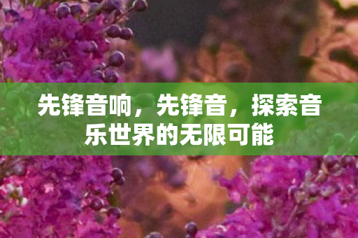 先锋音响，先锋音，探索音乐世界的无限可能