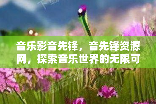 音乐影音先锋，音先锋资源网，探索音乐世界的无限可能