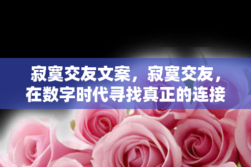 寂寞交友文案，寂寞交友，在数字时代寻找真正的连接