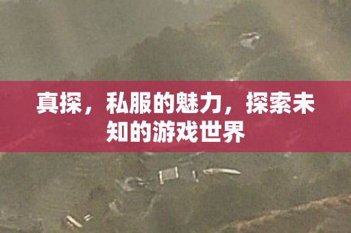 真探，私服的魅力，探索未知的游戏世界