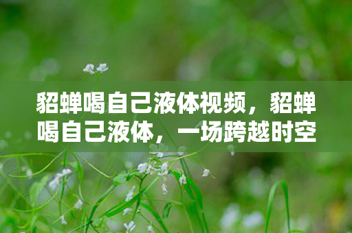 貂蝉喝自己液体视频，貂蝉喝自己液体，一场跨越时空的奇幻之旅