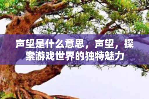 声望是什么意思，声望，探索游戏世界的独特魅力