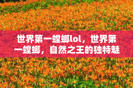 世界第一螳螂lol，世界第一螳螂，自然之王的独特魅力