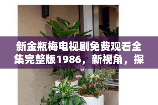 新金瓶梅电视剧免费观看全集完整版1986，新视角，探索游戏私服的独特魅力与合规运营