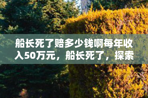 船长死了赔多少钱啊每年收入50万元，船长死了，探索游戏世界中的未知与危险