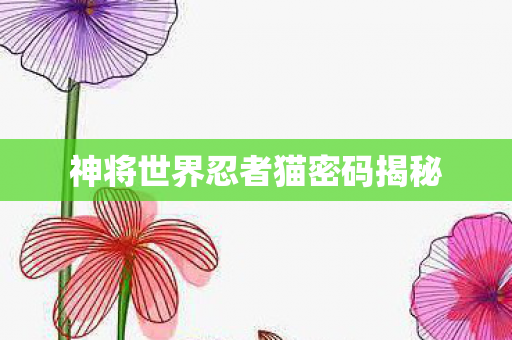 神将世界忍者猫密码揭秘