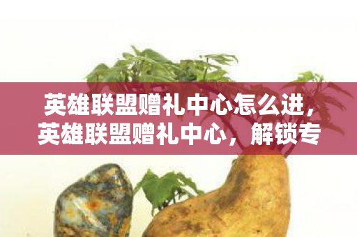 英雄联盟赠礼中心怎么进，英雄联盟赠礼中心，解锁专属好礼，助力你的游戏之旅