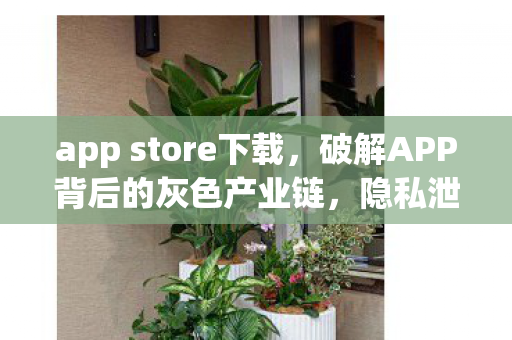 app store下载，破解APP背后的灰色产业链，隐私泄露与安全隐患