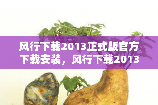 风行下载2013正式版官方下载安装，风行下载2013正式版官方下载，极速体验与安全保障的完美结合