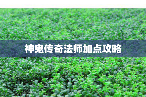 神鬼传奇法师加点攻略