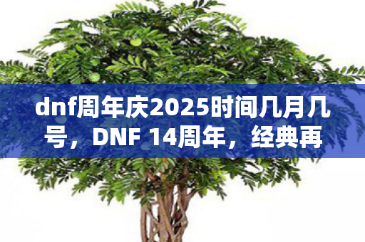 dnf周年庆2025时间几月几号，DNF 14周年，经典再现，未来可期