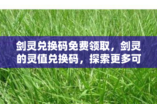 剑灵兑换码免费领取，剑灵的灵值兑换码，探索更多可能，解锁精彩游戏世界