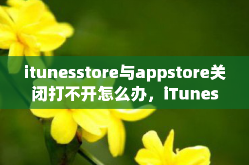 itunesstore与appstore关闭打不开怎么办，iTunes Store与App Store关闭打不开，原因分析与解决策略