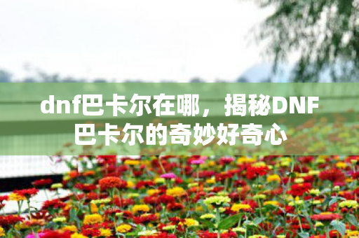 dnf巴卡尔在哪，揭秘DNF巴卡尔的奇妙好奇心