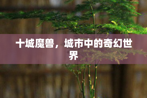 十城魔兽，城市中的奇幻世界