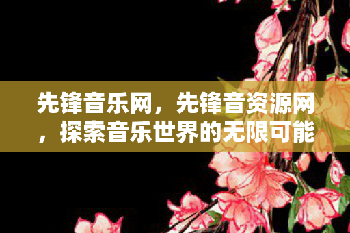 先锋音乐网，先锋音资源网，探索音乐世界的无限可能