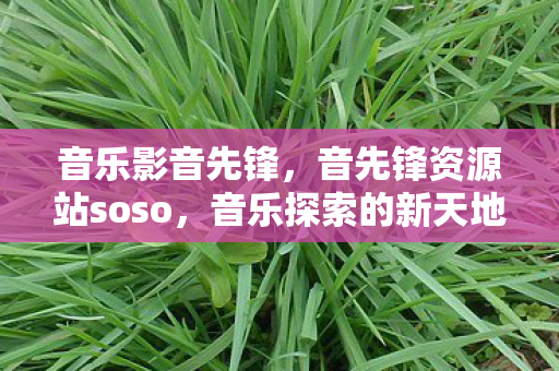 音乐影音先锋，音先锋资源站soso，音乐探索的新天地