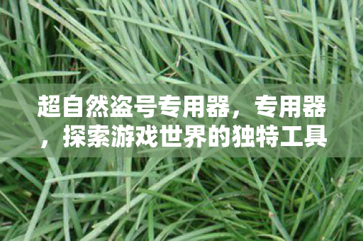 超自然盗号专用器，专用器，探索游戏世界的独特工具