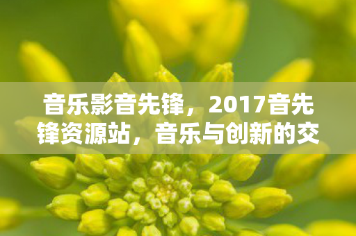 音乐影音先锋,2017音先锋资源站,音乐与创新的交汇点 音乐影音先锋,2017音先锋资源站,音乐与创新的交汇点