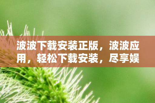 波波下载安装正版,波波应用,轻松下载安装,尽享娱乐新体验 波波下载安装正版,波波应用,轻松下载安装,尽享娱乐新体验