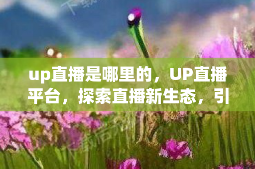 up直播是哪里的,UP直播平台,探索直播新生态,引领娱乐新风尚 up直播是哪里的,UP直播平台,探索直播新生态,引领娱乐新风尚