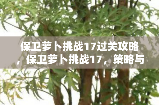 保卫萝卜挑战17过关攻略，保卫萝卜挑战17，策略与智慧的双重考验