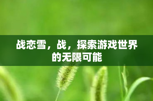战恋雪，战，探索游戏世界的无限可能