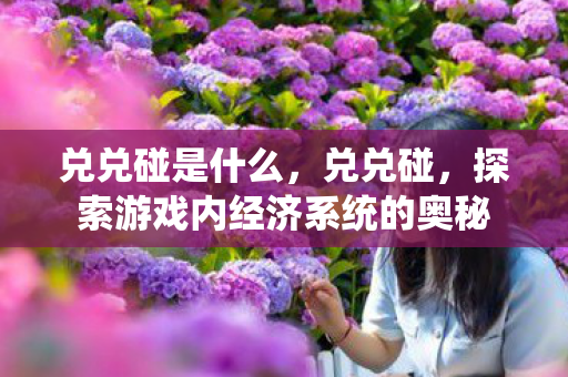 兑兑碰是什么,兑兑碰,探索游戏内经济系统的奥秘 兑兑碰是什么,兑兑碰,探索游戏内经济系统的奥秘