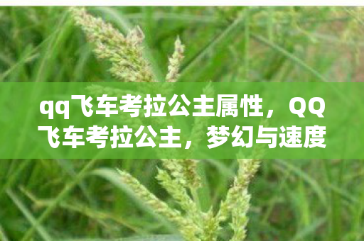 qq飞车考拉公主属性,QQ飞车考拉公主,梦幻与速度的浪漫邂逅 qq飞车考拉公主属性,QQ飞车考拉公主,梦幻与速度的浪漫邂逅