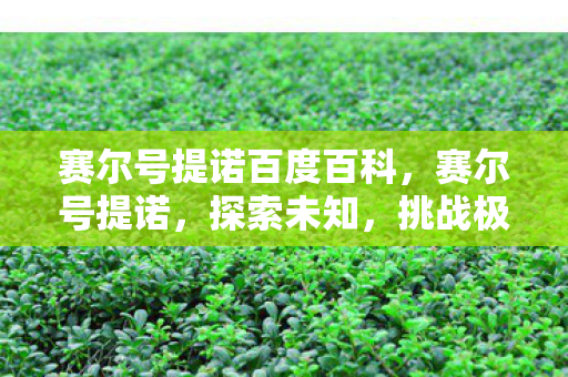 赛尔号提诺百度百科,赛尔号提诺,探索未知,挑战极限 赛尔号提诺百度百科,赛尔号提诺,探索未知,挑战极限